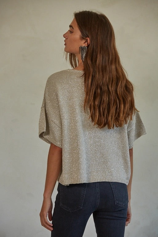 Shimmer Detailed Top
