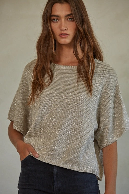Shimmer Detailed Top