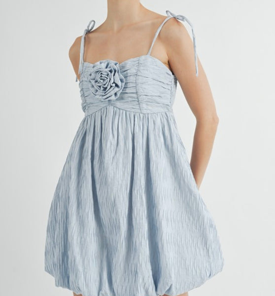 Baby Blue Rose Dress