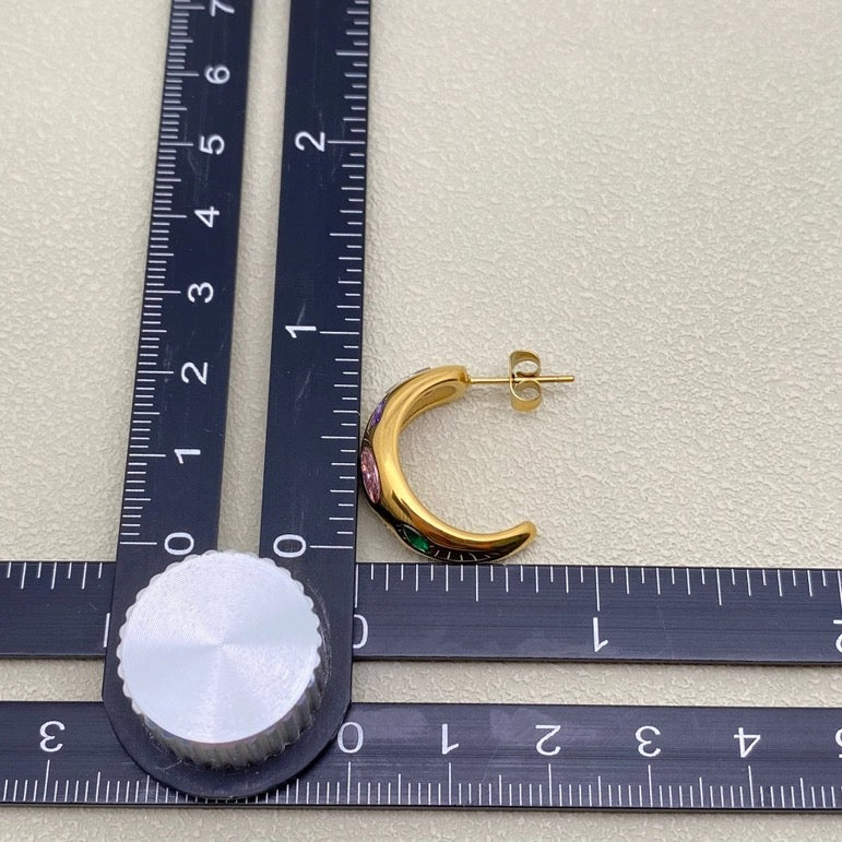 18K Colored SS Earring